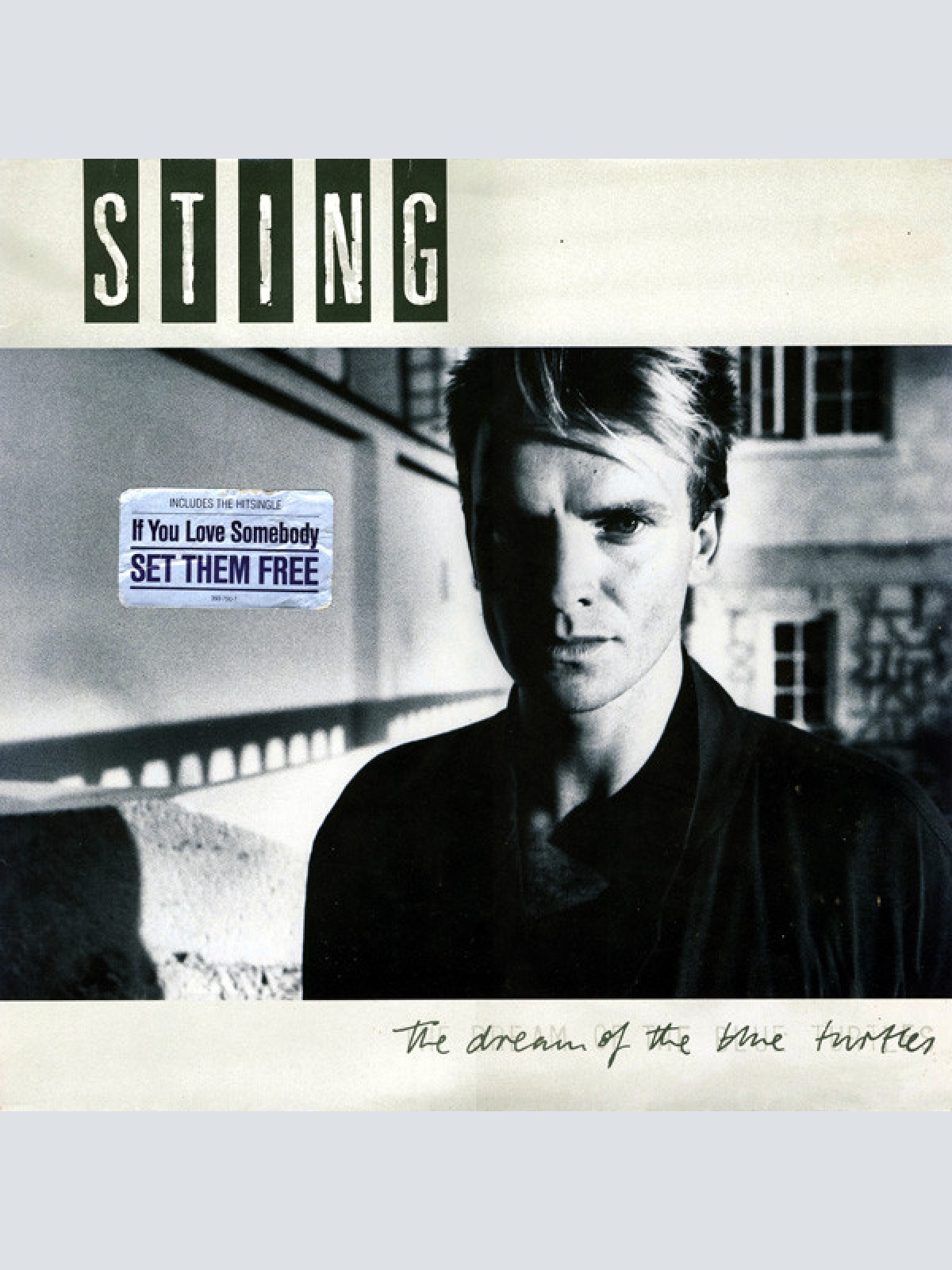 Vinyl / Sting - The Dream Of The Blue Turtles