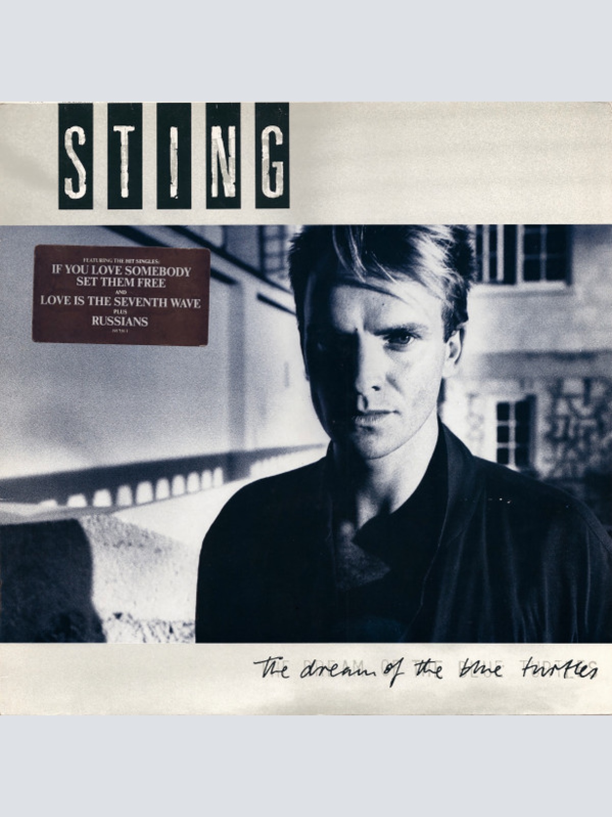 Vinyl / Sting - The Dream Of The Blue Turtles