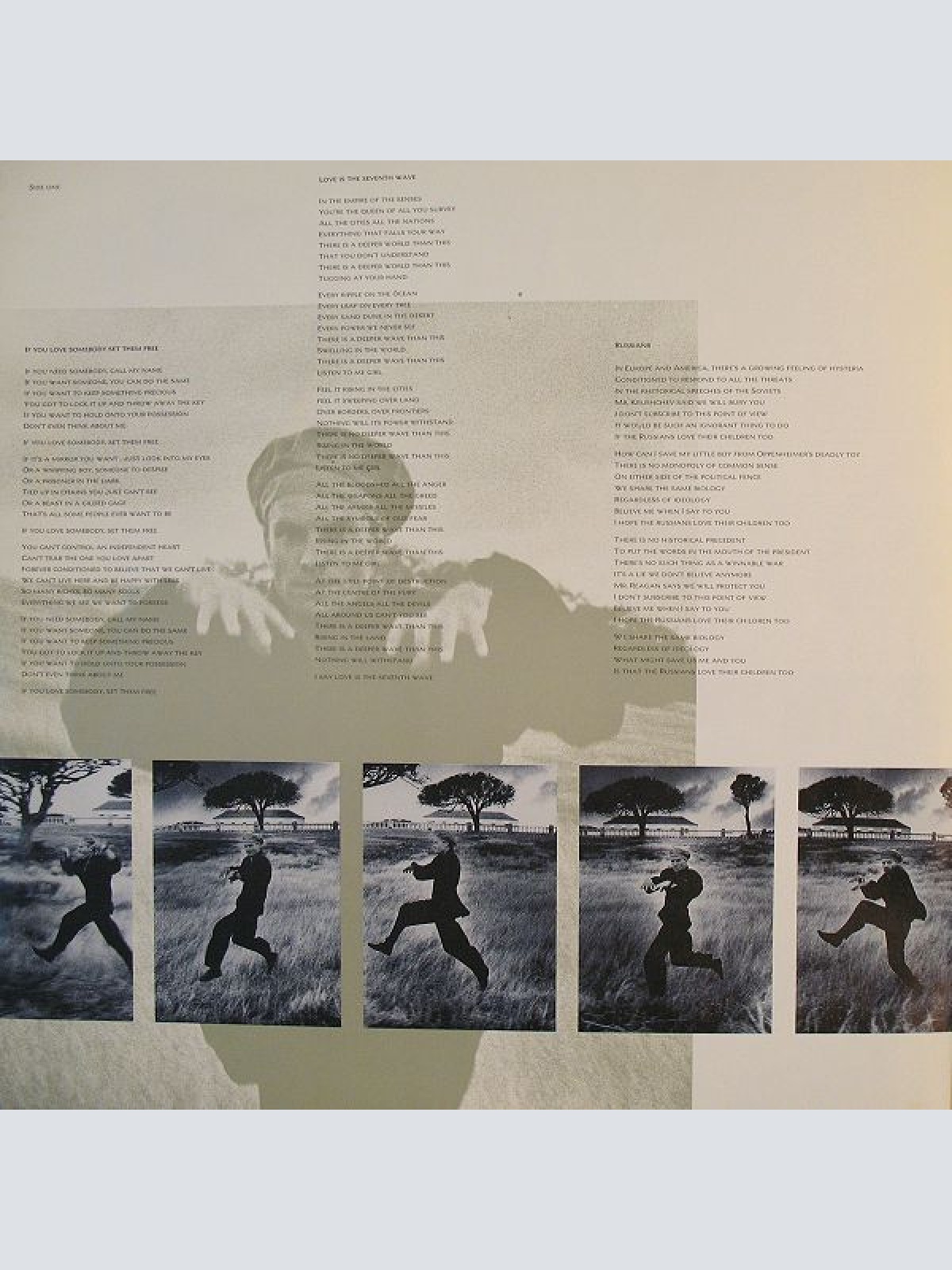 Vinyl / Sting - The Dream Of The Blue Turtles