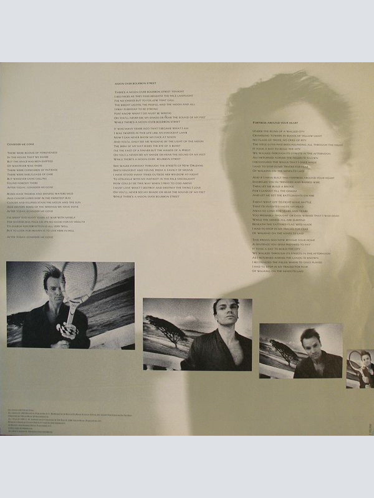 Vinyl / Sting - The Dream Of The Blue Turtles