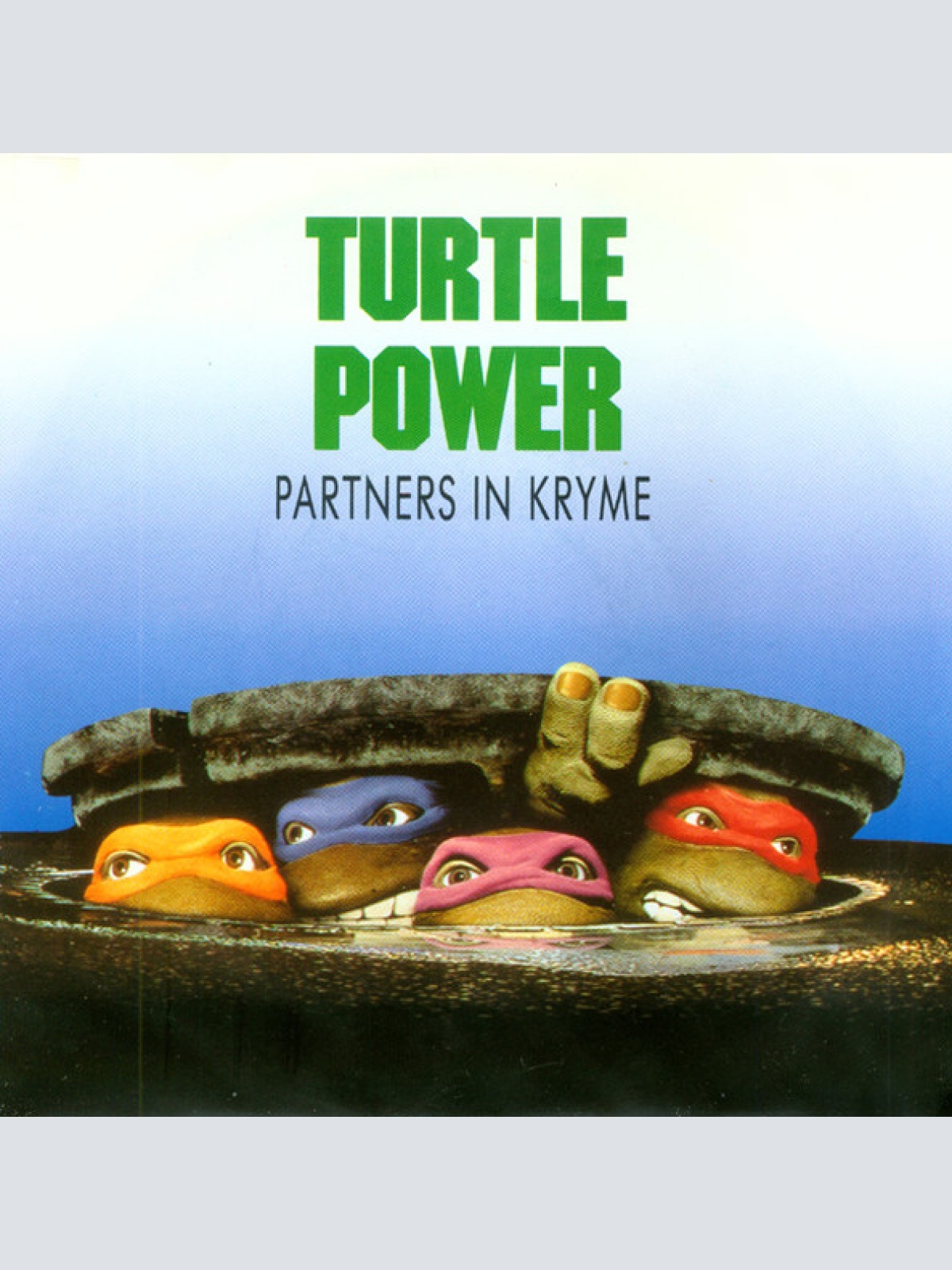 Vinyl / Partners In Kryme - Turtle Power