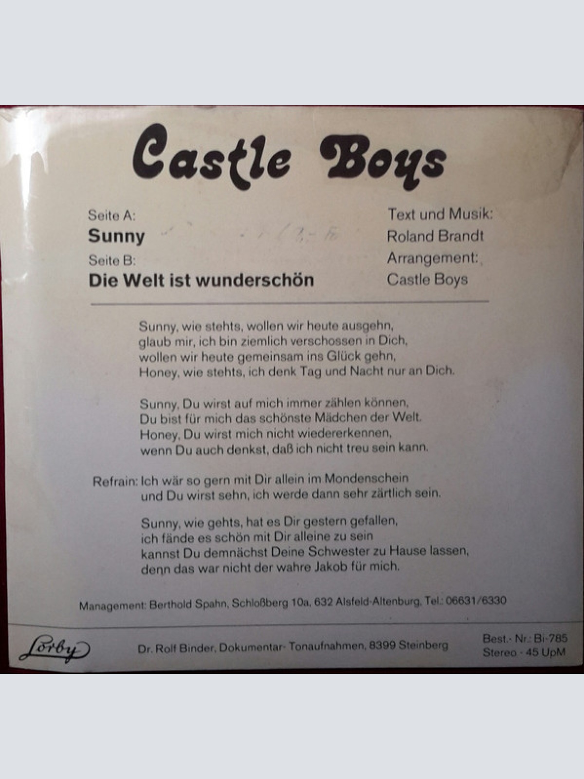 Vinyl / Castle Boys - Sunny / Die Welt Ist Wunderschön
