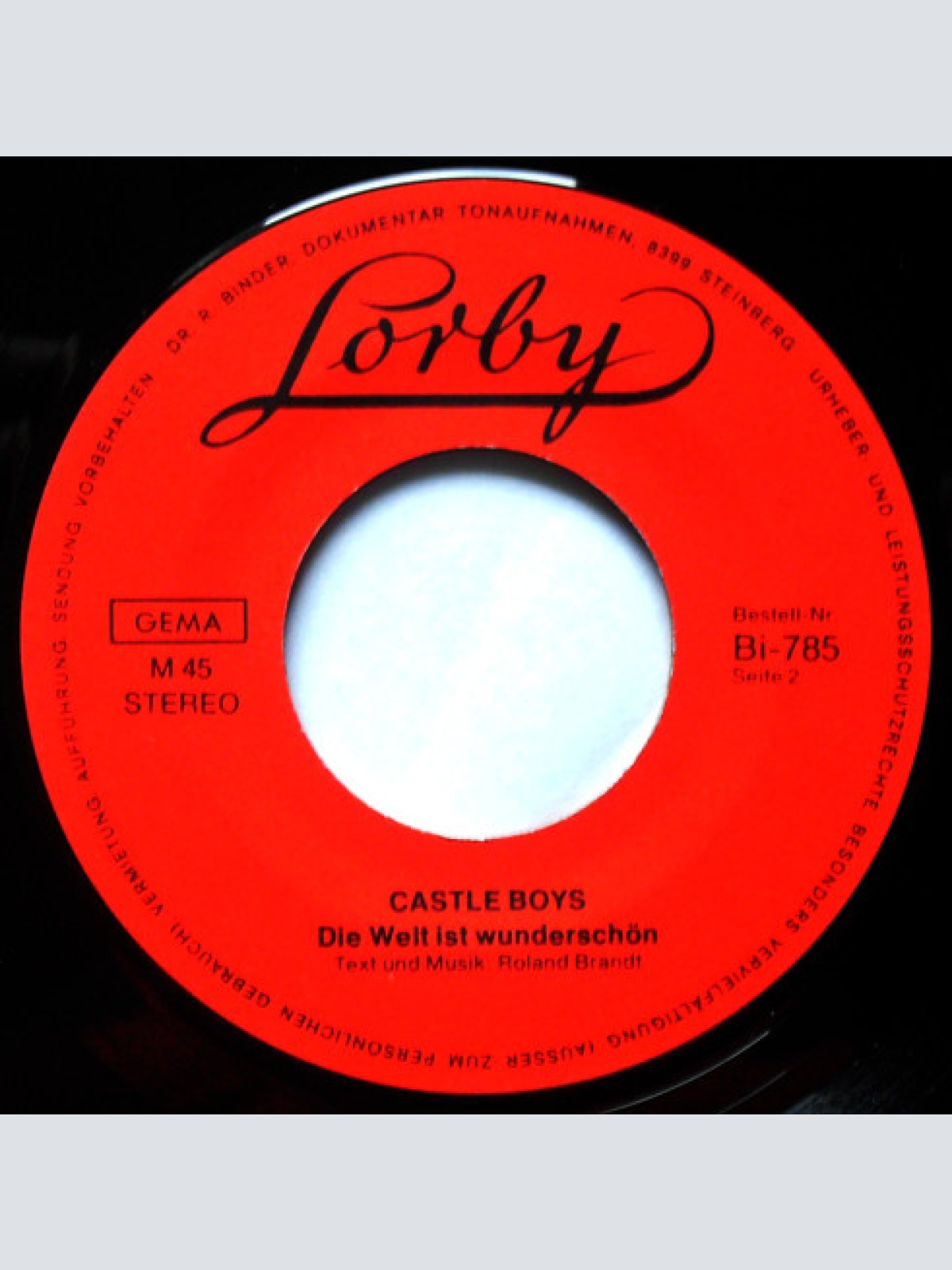 Vinyl / Castle Boys - Sunny / Die Welt Ist Wunderschön