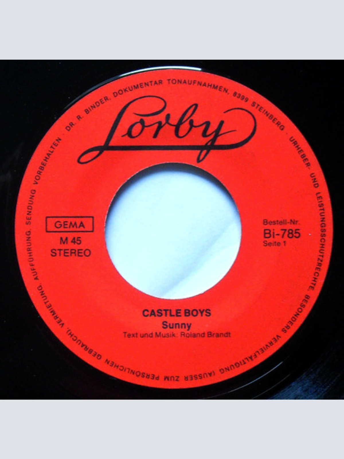 Vinyl / Castle Boys - Sunny / Die Welt Ist Wunderschön