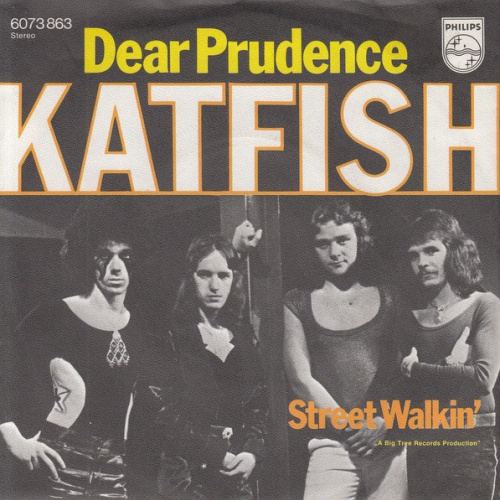 Vinyl / Katfish (2) - Dear Prudence