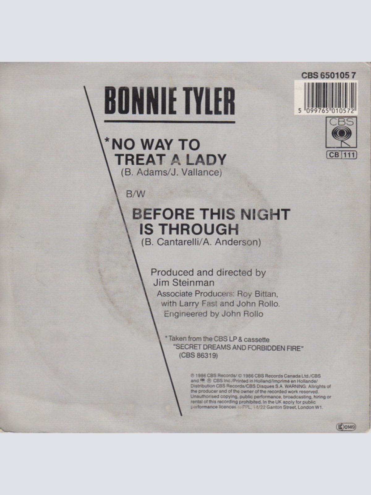 Vinyl / Bonnie Tyler - No Way To Treat A Lady