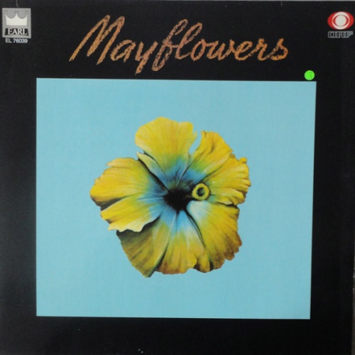 Vinyl / Mayflower Orchestra - Mayflowers