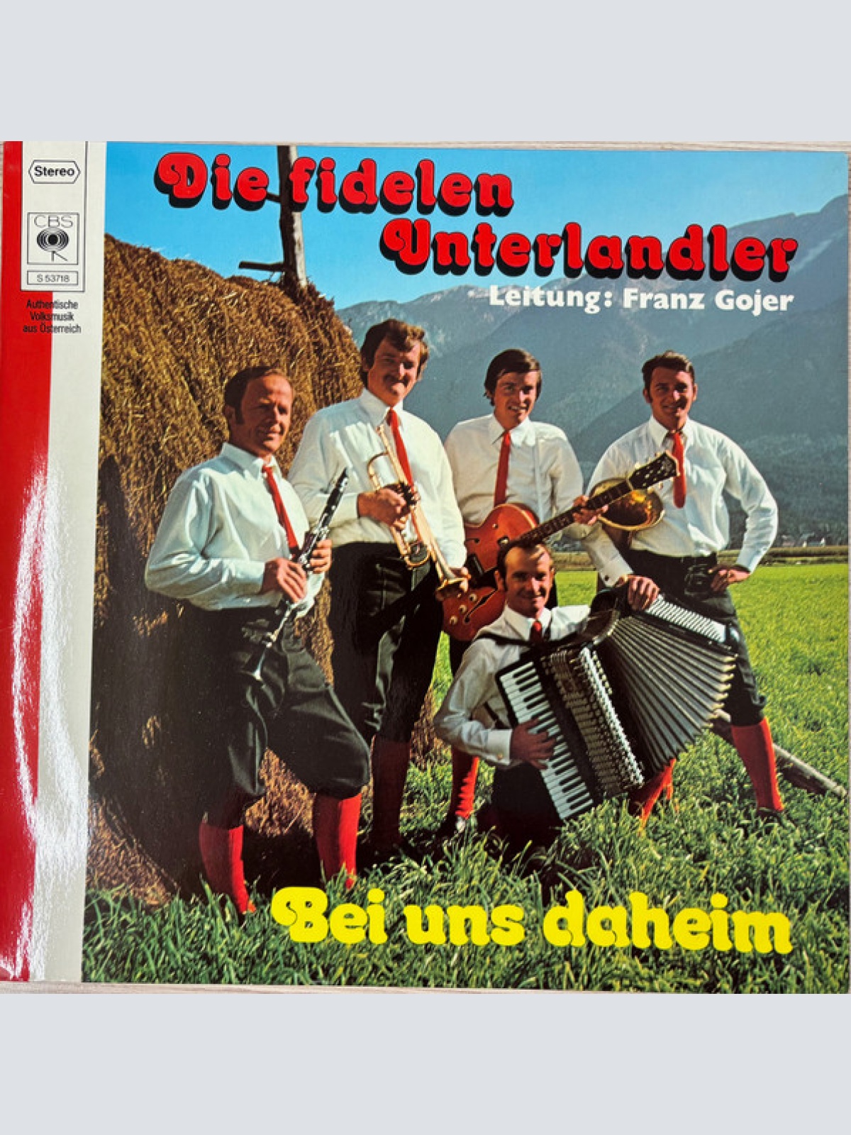 Vinyl / Die Fidelen Unterlandler - Bei Uns Daheim