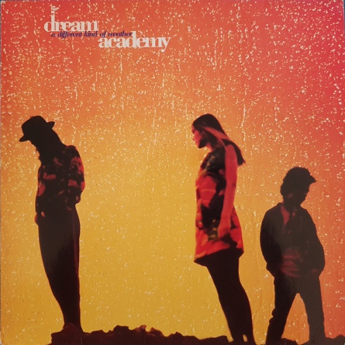Vinyl / The Dream Academy - A Different Kind Of Weather
