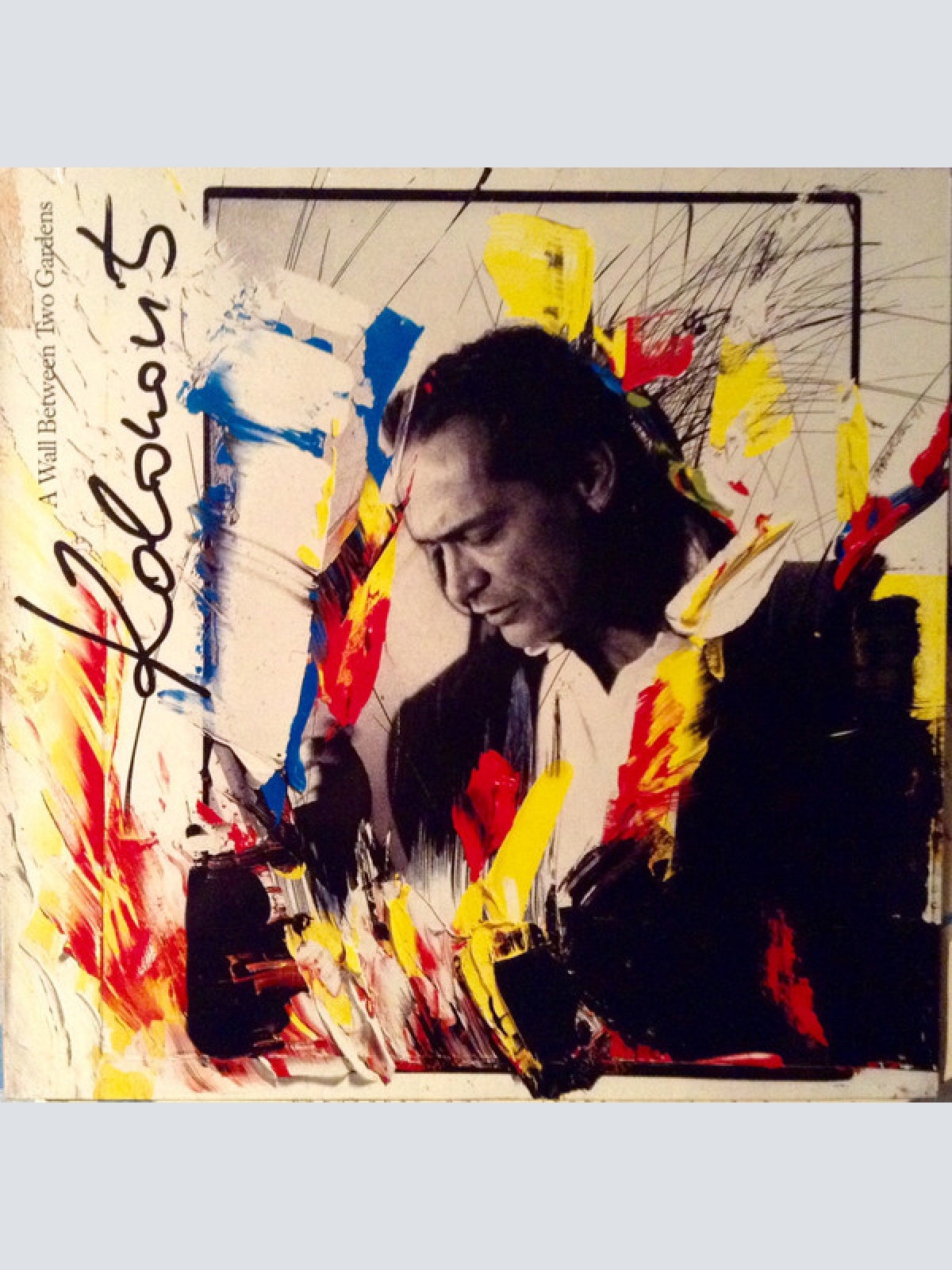 Vinyl / Kolonovits* - A Wall Between Two Gardens