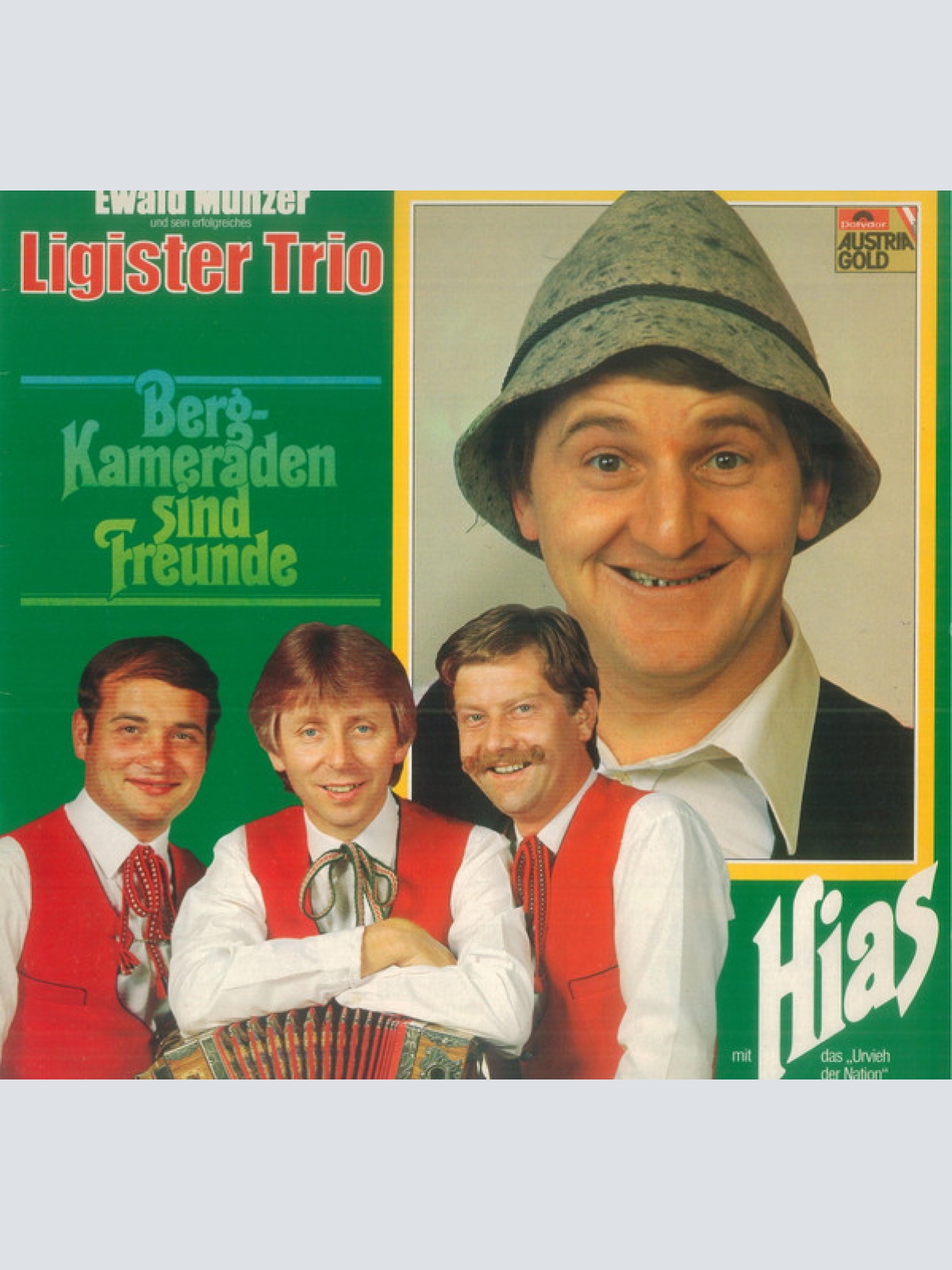 Vinyl / Ewald Münzer und sein erfolgreiches Ligister Trio* mit Hias - Bergkameraden sind Freunde