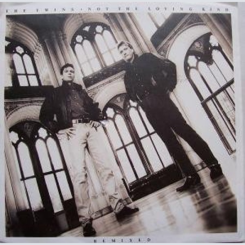 Vinyl / The Twins - Not The Loving Kind (Remixed)