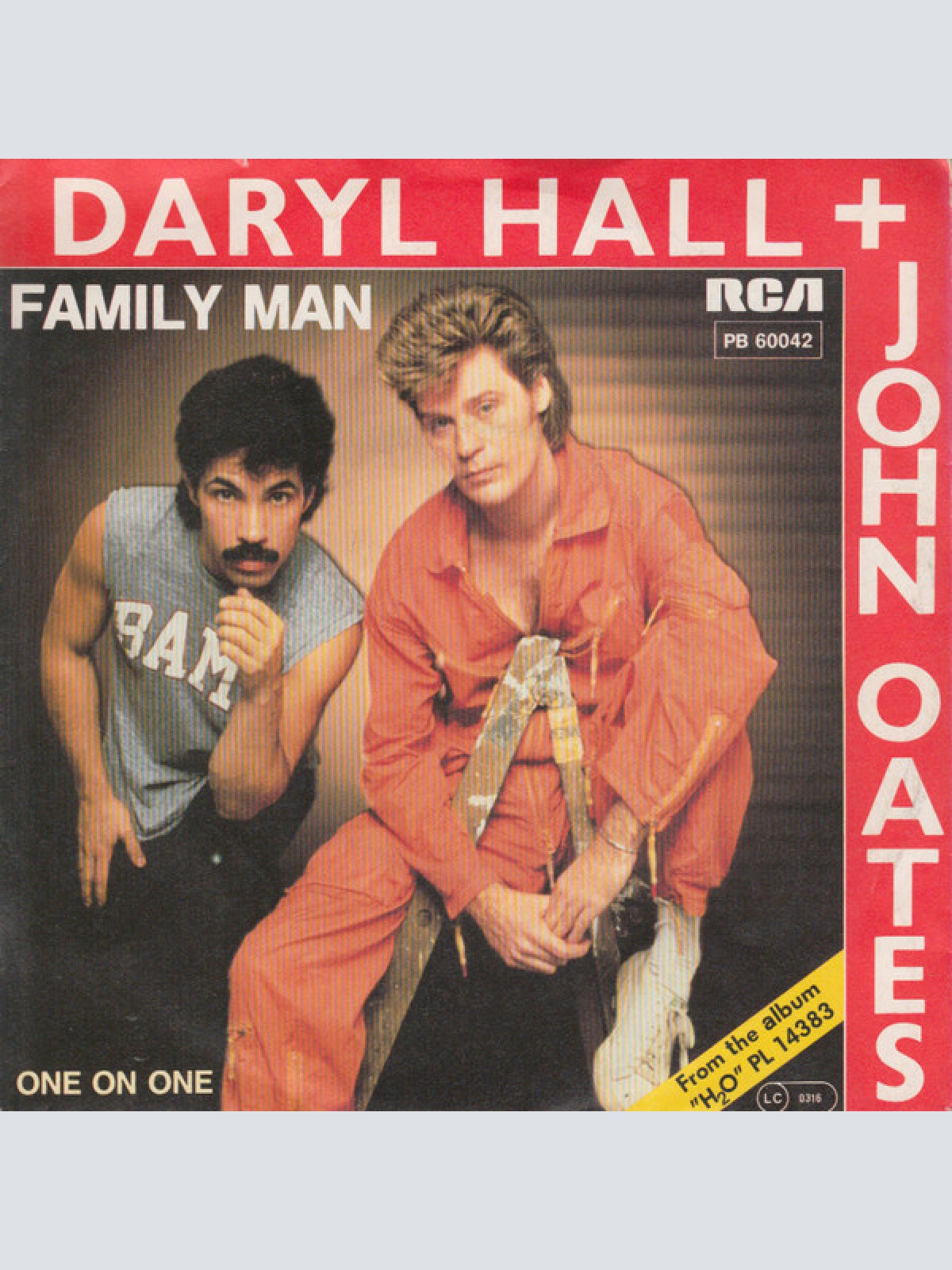 Vinyl / Daryl Hall + John Oates* - Family Man
