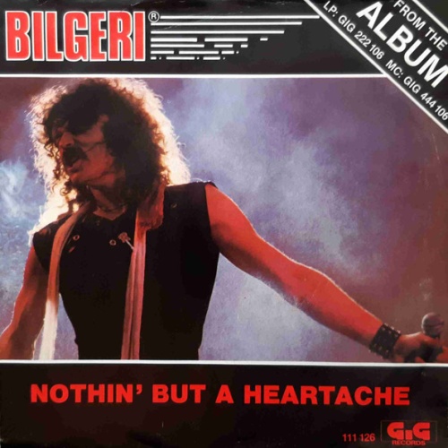 Vinyl / Bilgeri - Nothin' But A Heartache