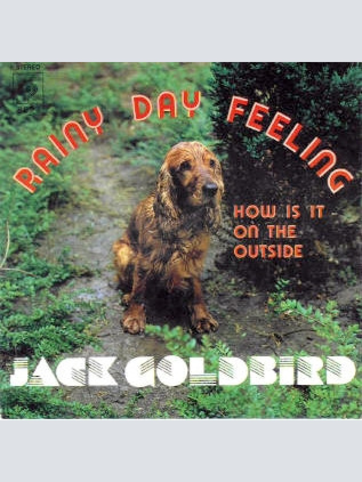 Vinyl / Jack Goldbird - Rainy Day Feeling