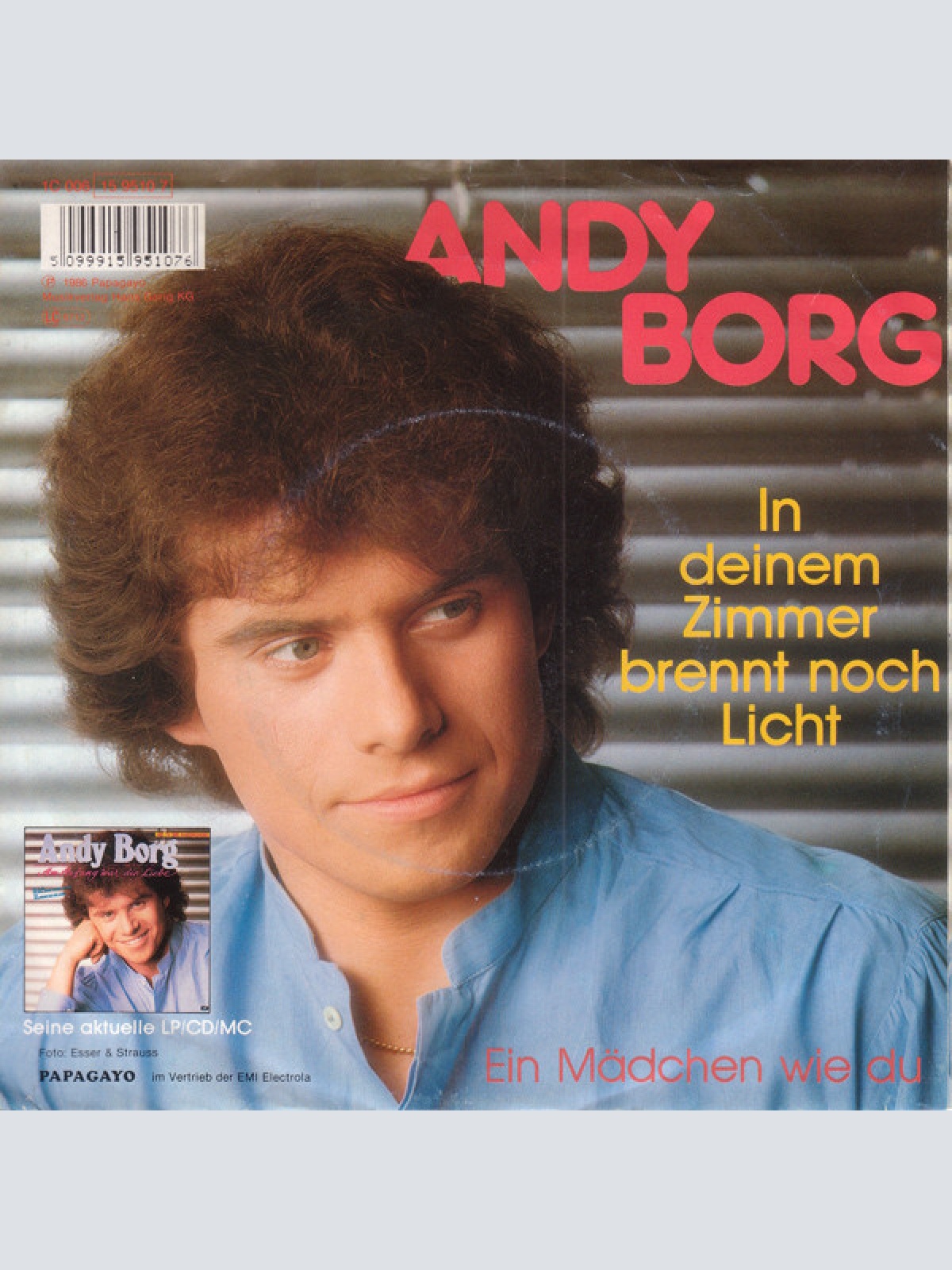Vinyl / Andy Borg - In Deinem Zimmer Brennt Noch Licht