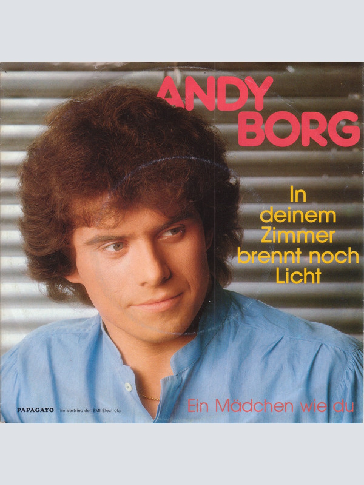 Vinyl / Andy Borg - In Deinem Zimmer Brennt Noch Licht