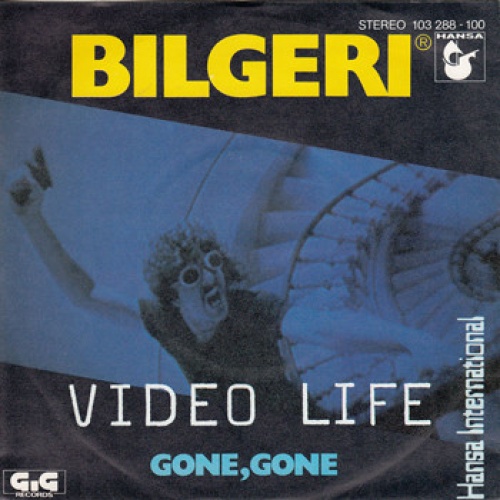 Vinyl / Bilgeri - Video Life