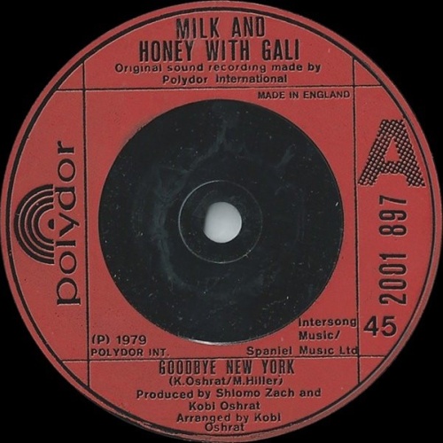 Vinyl / Milk And Honey With Gali* - Goodbye New York