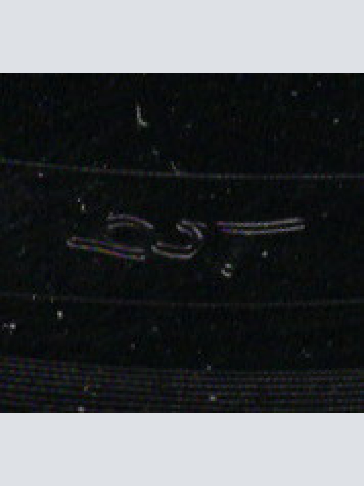 Vinyl / Leroy Gomez - Gypsy Woman