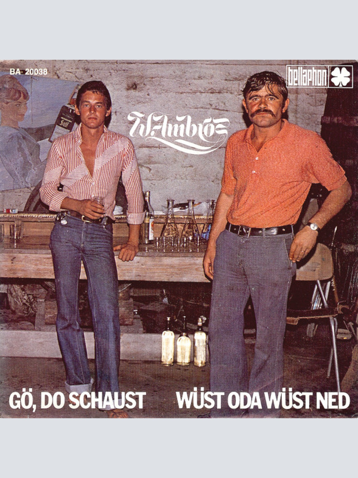 Vinyl / W. Ambros* - Gö, Do Schaust / Wüst Oda Wüst Ned
