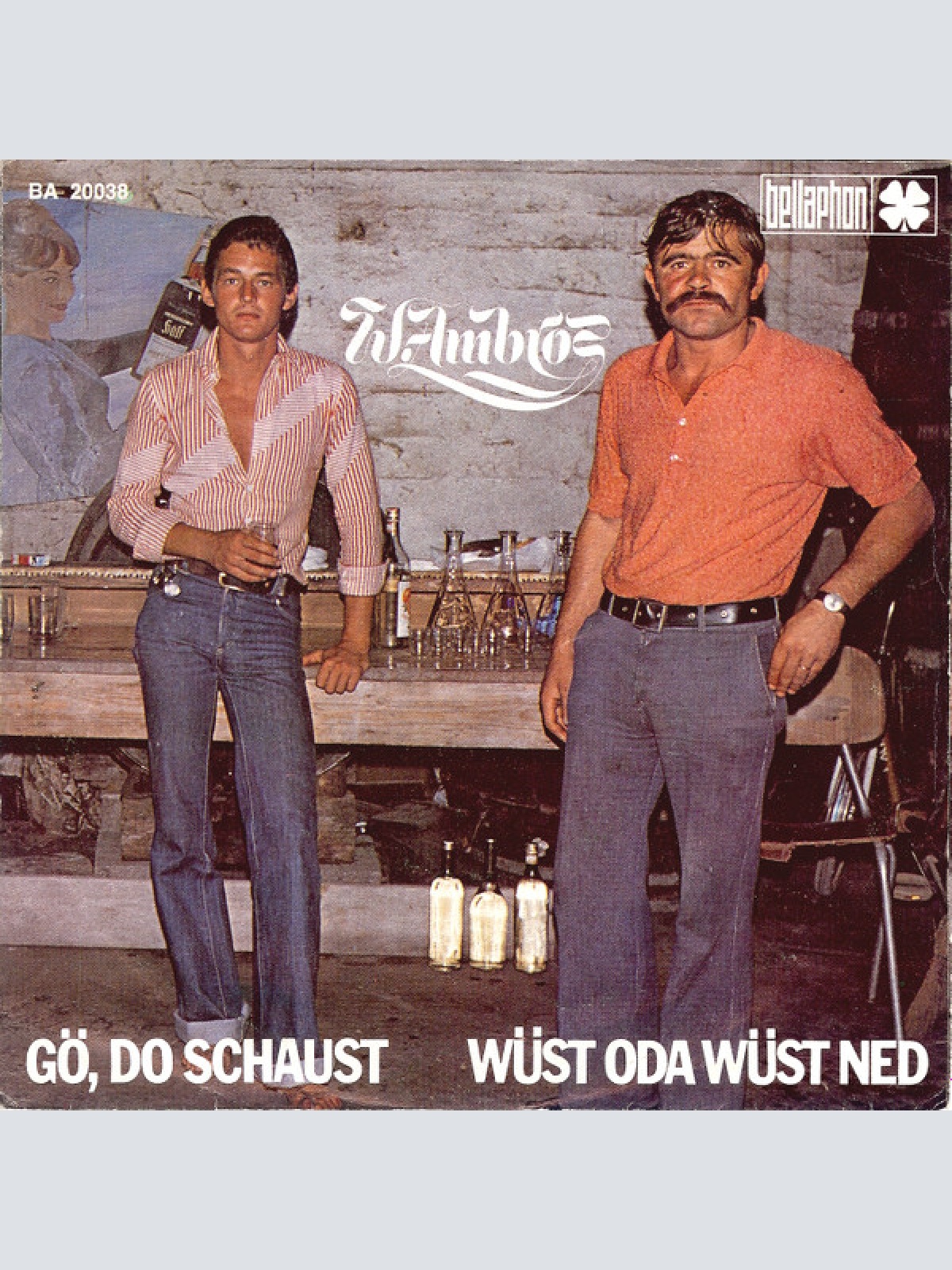 Vinyl / W. Ambros* - Gö, Do Schaust / Wüst Oda Wüst Ned