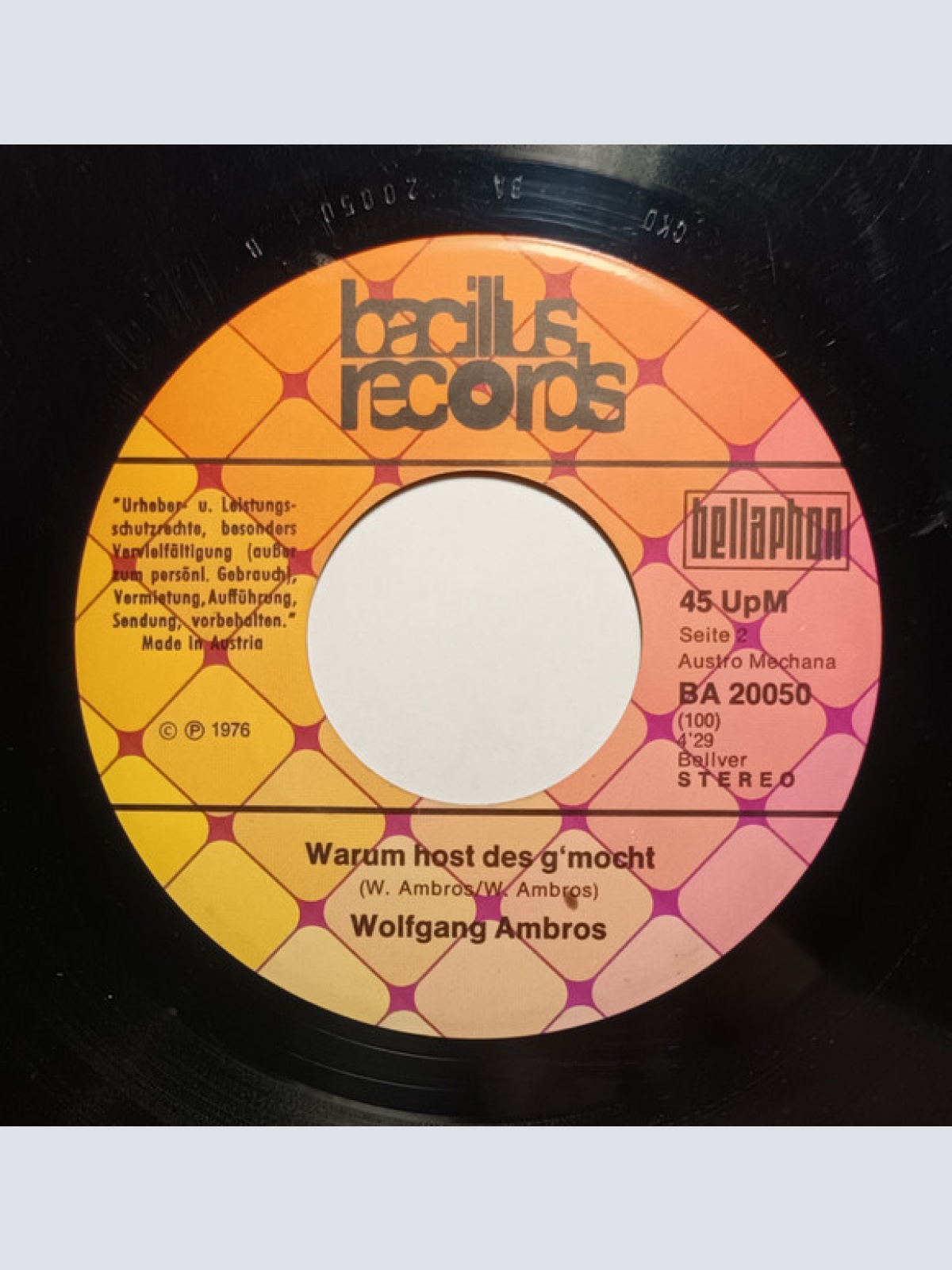 Vinyl / W. Ambros* - Hoit, Do Is A Spoit