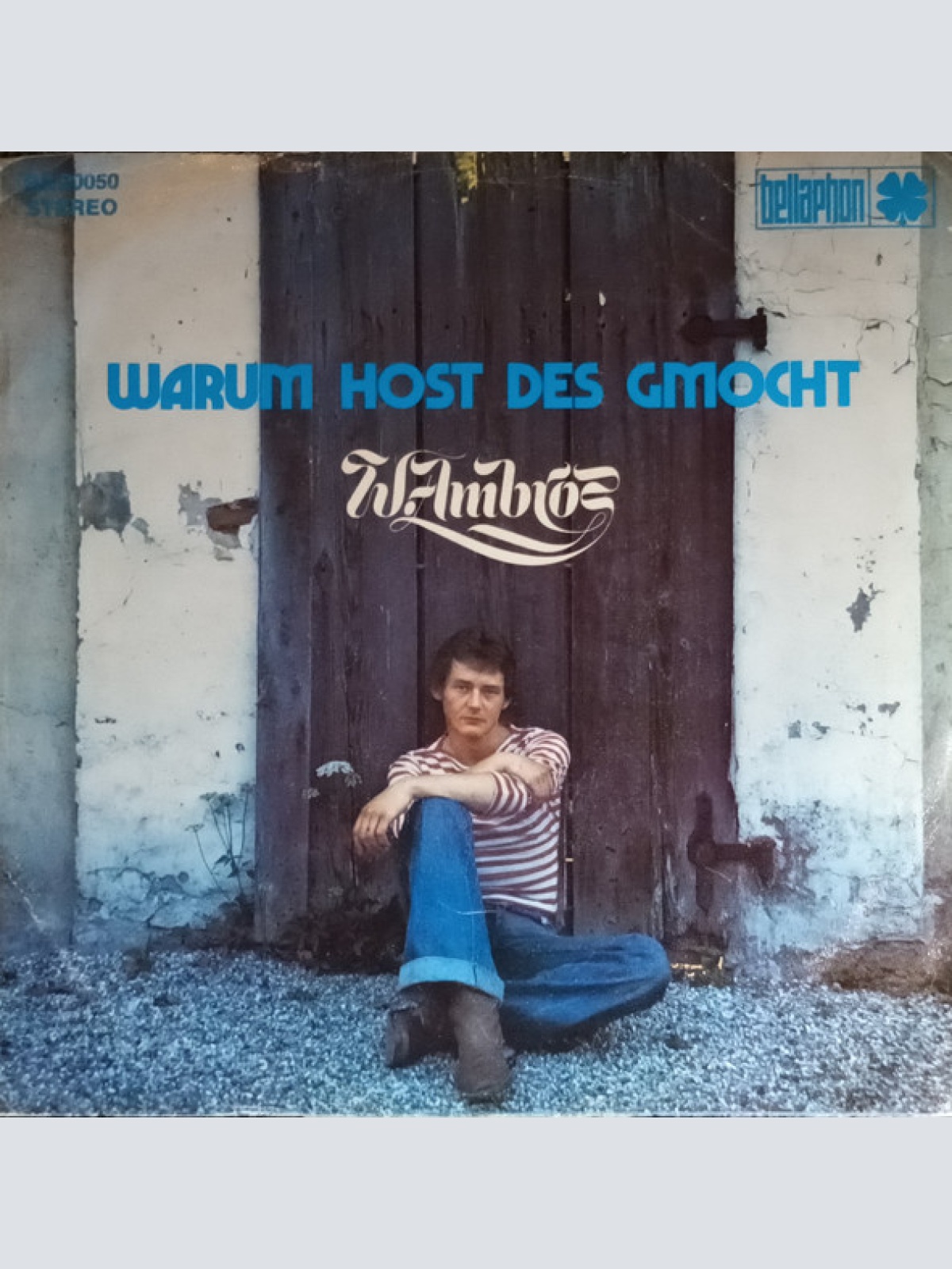 Vinyl / W. Ambros* - Hoit, Do Is A Spoit