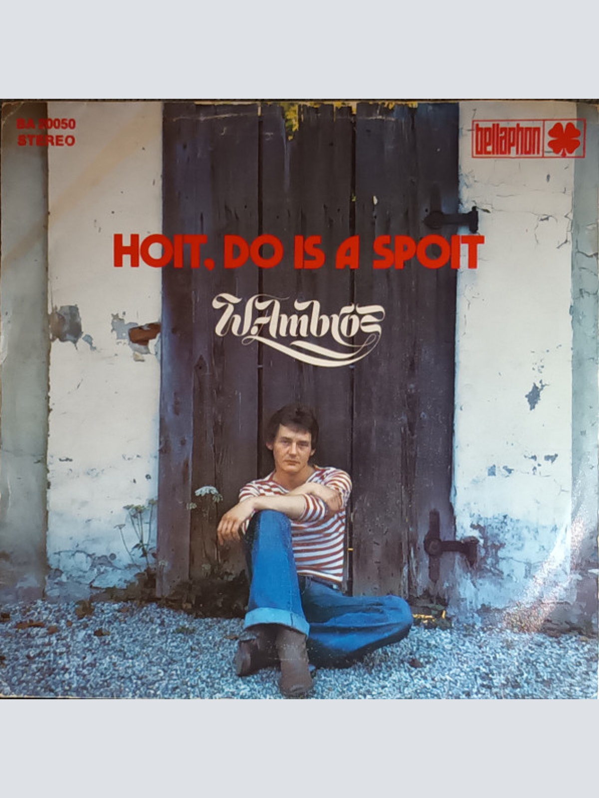 Vinyl / W. Ambros* - Hoit, Do Is A Spoit