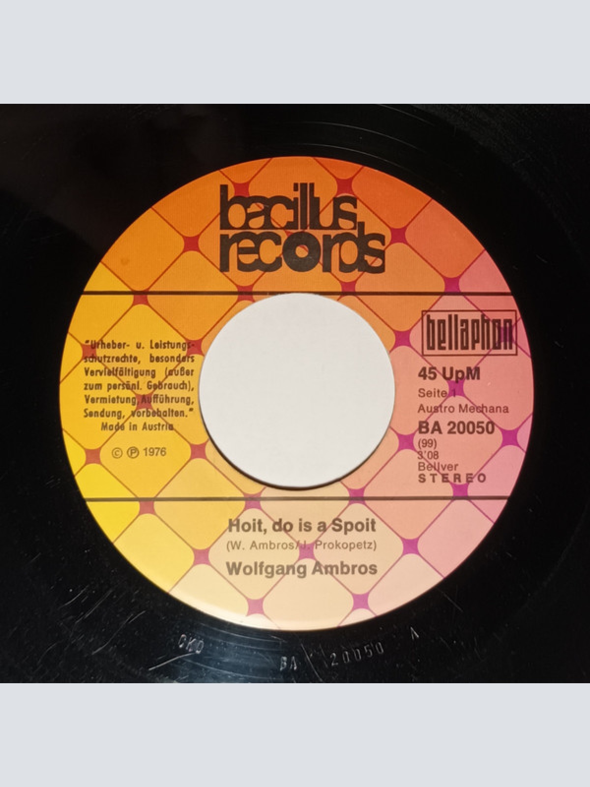 Vinyl / W. Ambros* - Hoit, Do Is A Spoit