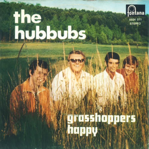 Vinyl / The Hubbubs - Grasshoppers