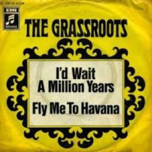 Vinyl / The Grassroots* - I'd Wait A Million Years / Fly Me To Havana