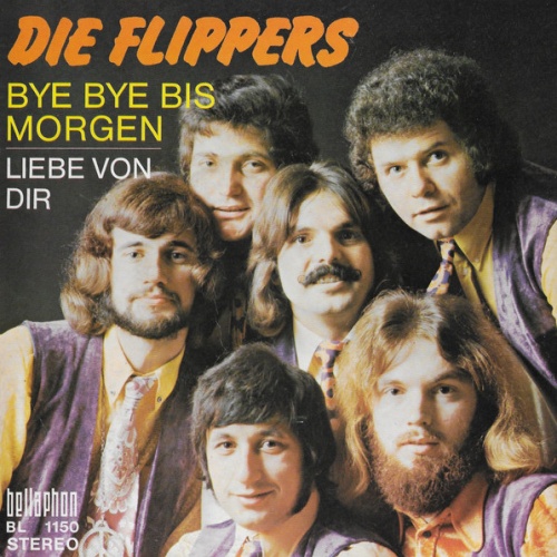 Vinyl / Die Flippers - Bye Bye Bis Morgen