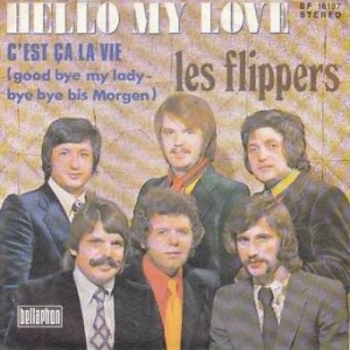 Vinyl / Les Flippers* - Hello My Love