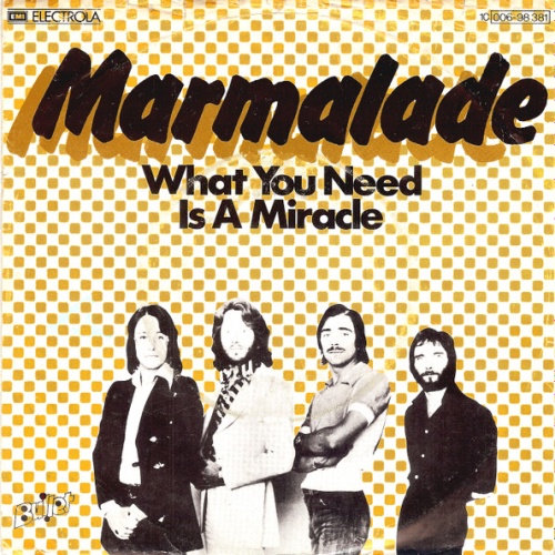 Vinyl / Marmalade* - What You Need Is A Miracle