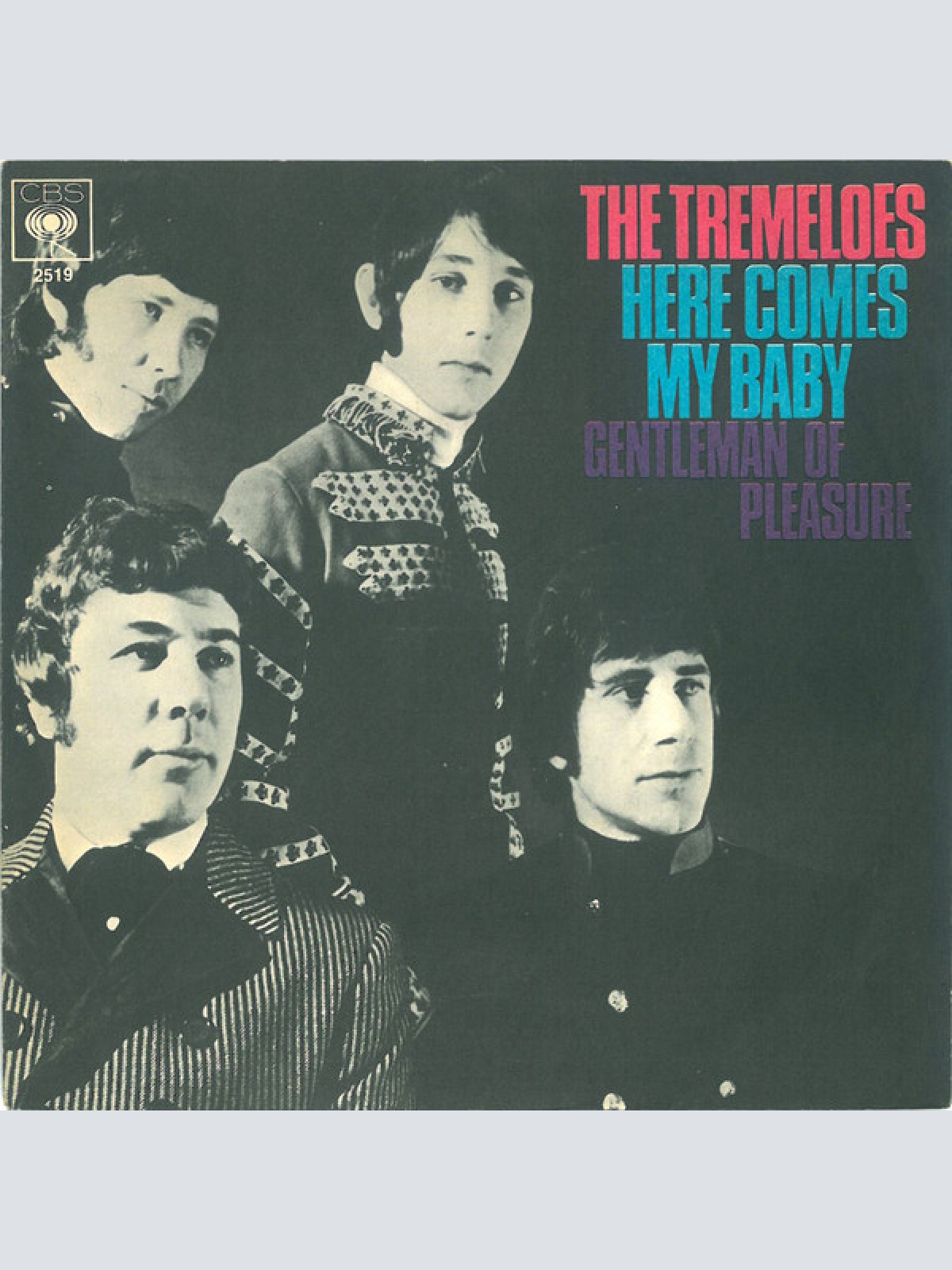 Vinyl / The Tremeloes - Here Comes My Baby