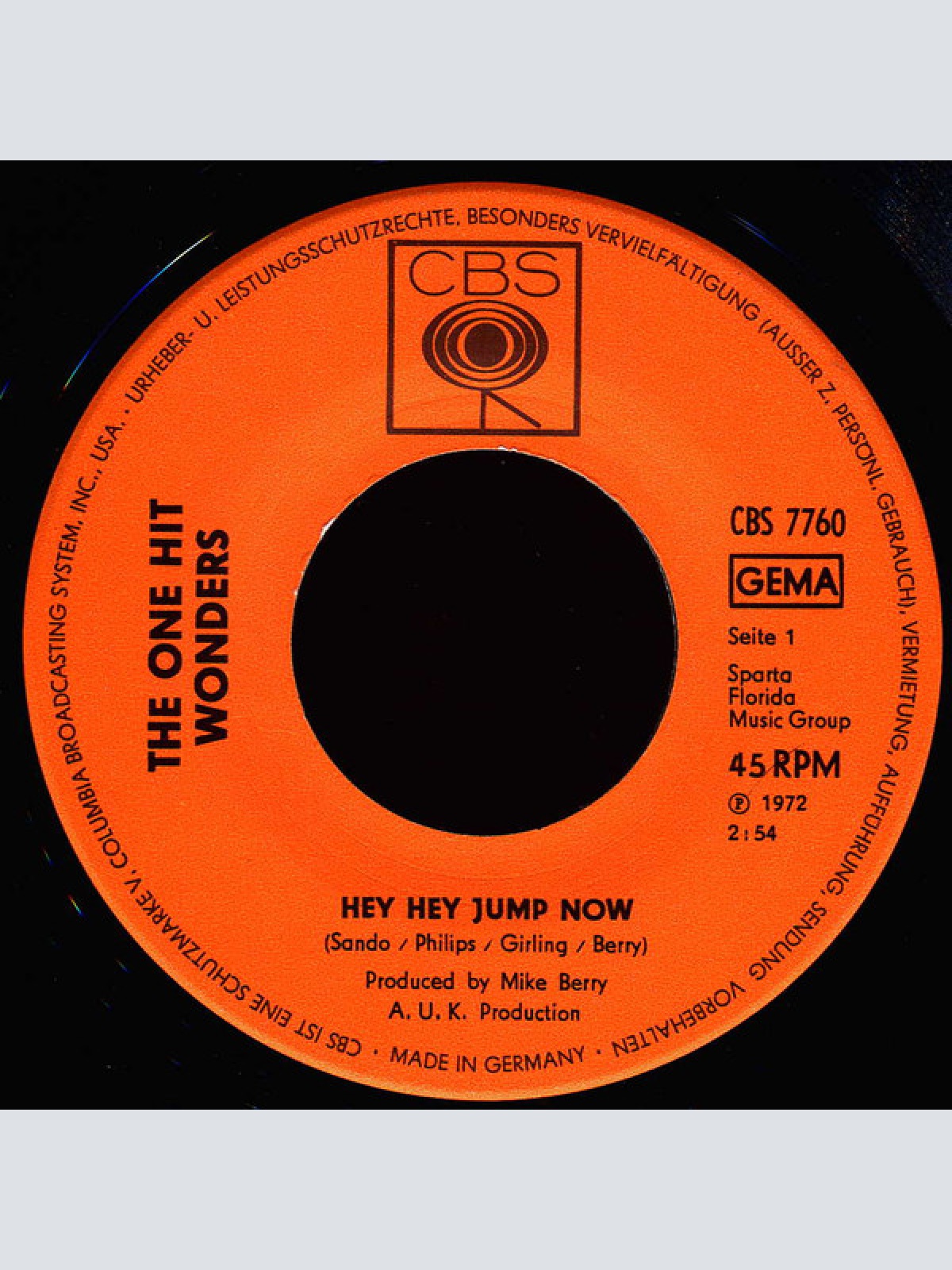 Vinyl / The One Hit Wonders - Hey Hey Jump Now