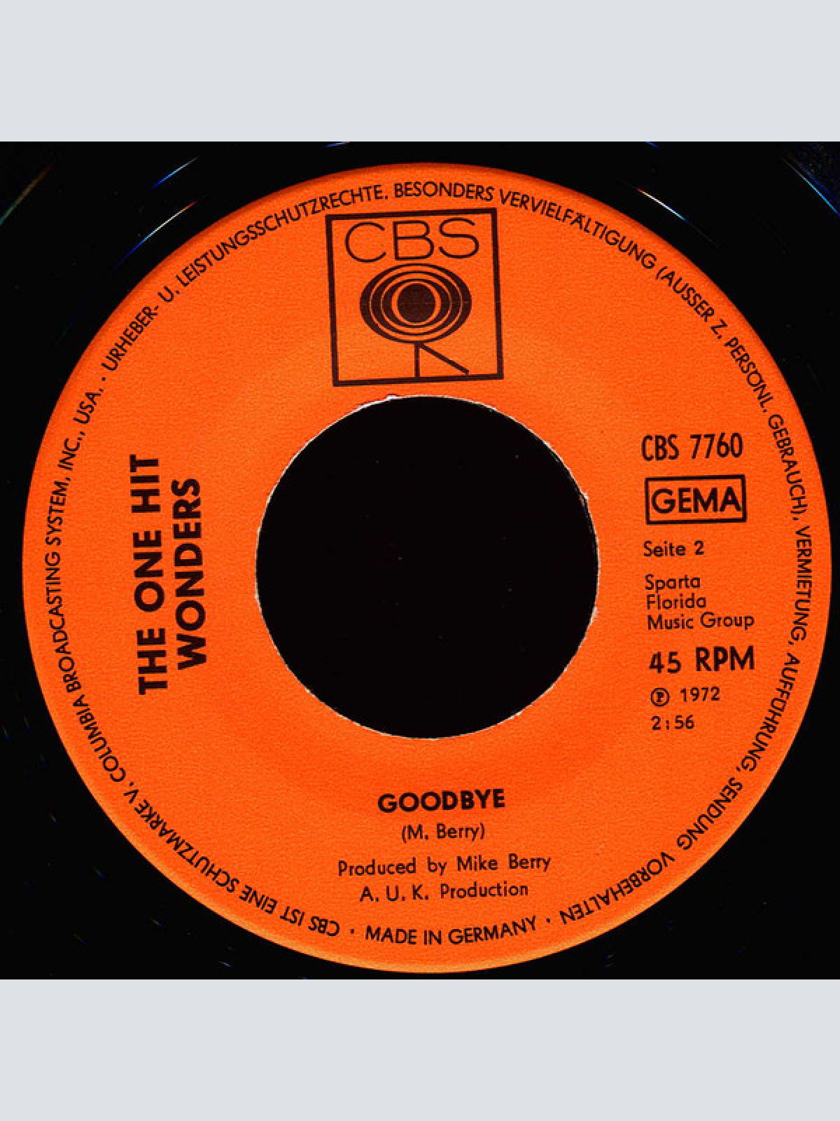 Vinyl / The One Hit Wonders - Hey Hey Jump Now