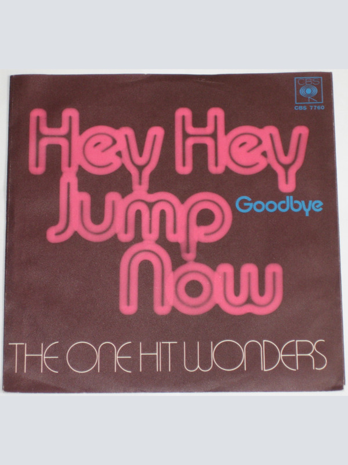 Vinyl / The One Hit Wonders - Hey Hey Jump Now