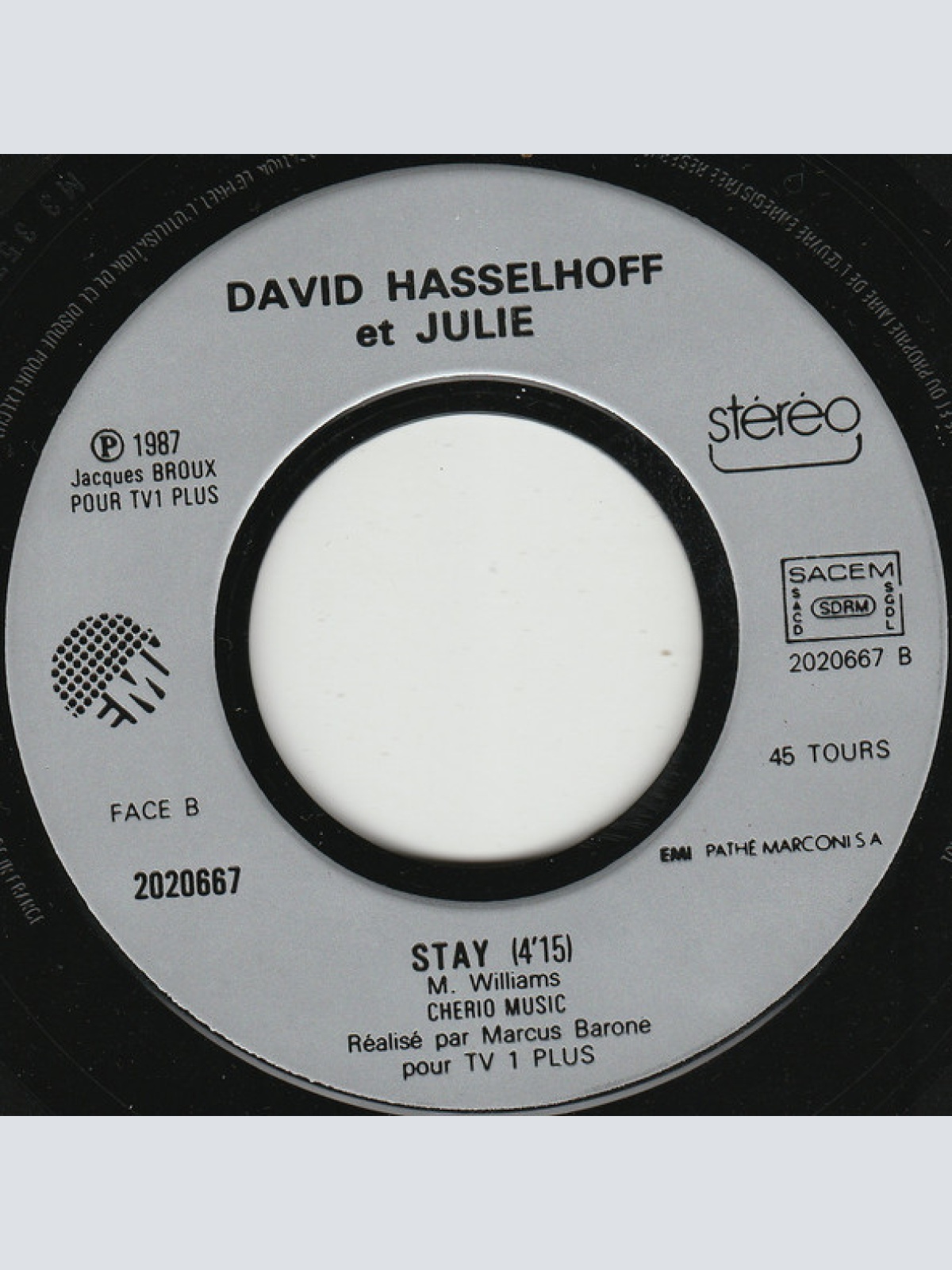 Vinyl / David Hasselhoff Le Héros De K 2000* Avec Julie (20) - Les Kids De Kitt™