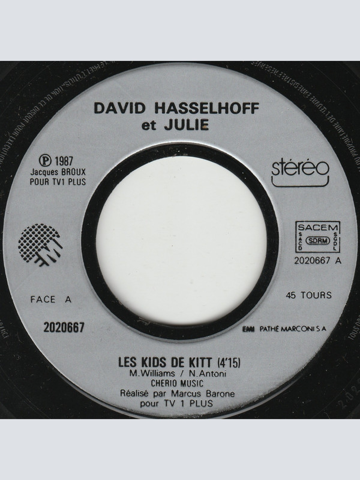 Vinyl / David Hasselhoff Le Héros De K 2000* Avec Julie (20) - Les Kids De Kitt™