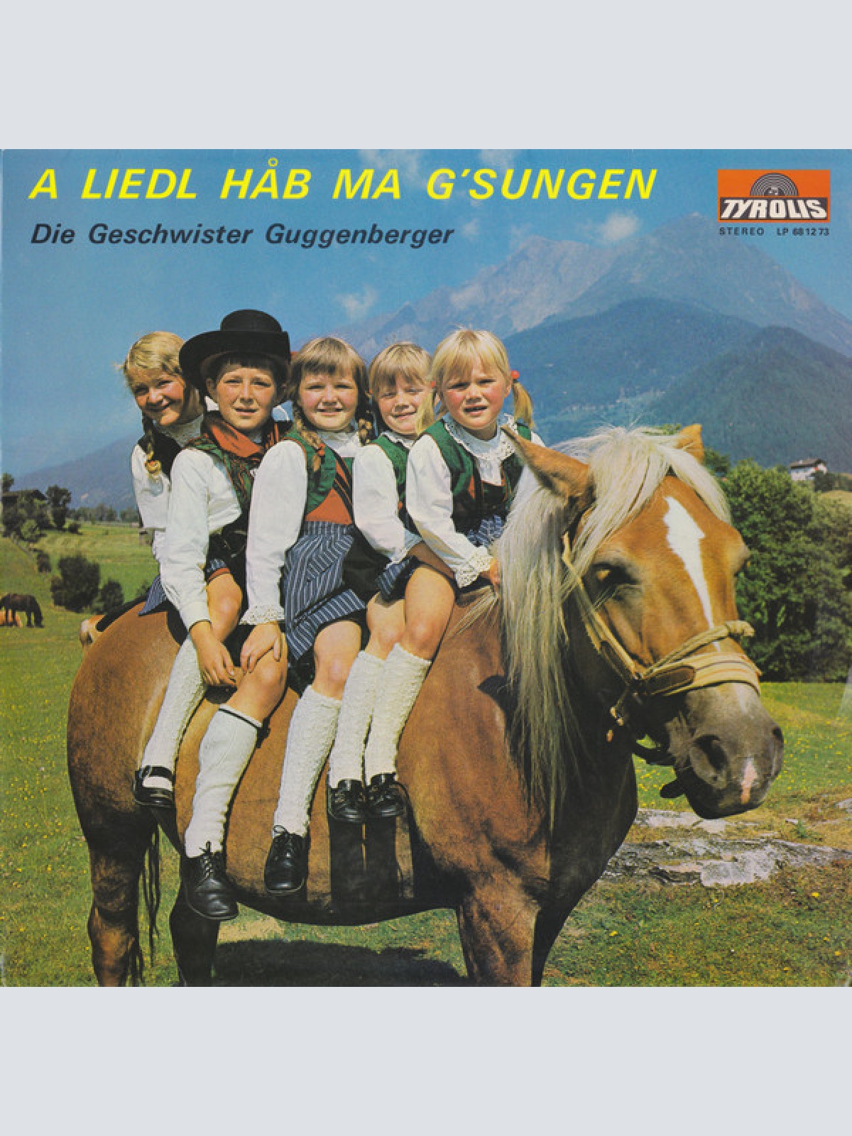 Vinyl / Die Geschwister Guggenberger* - A Liedl Håb Ma G'sungen