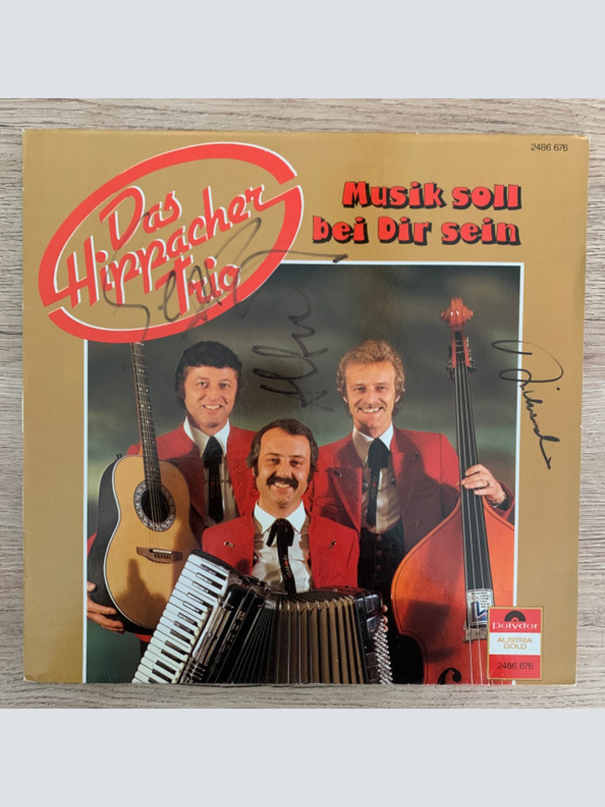 Vinyl / Das Hippacher Trio* - Musik Soll Bei Dir Sein