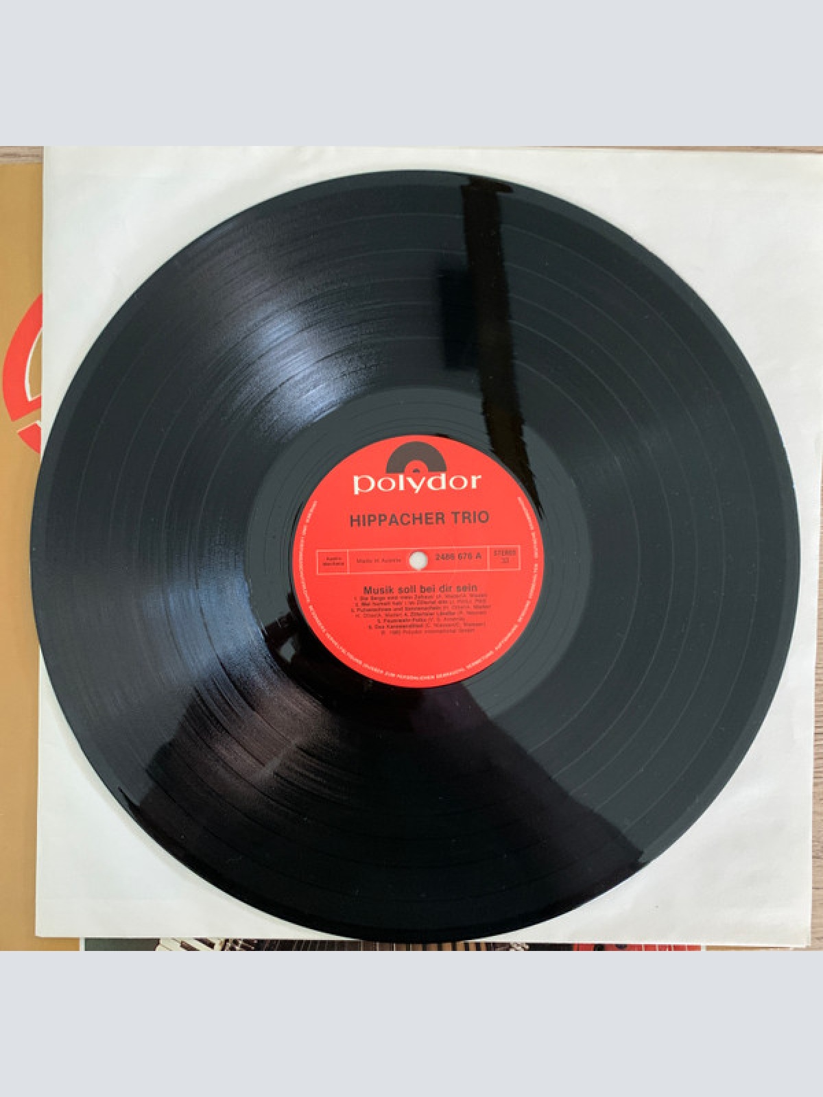 Vinyl / Das Hippacher Trio* - Musik Soll Bei Dir Sein