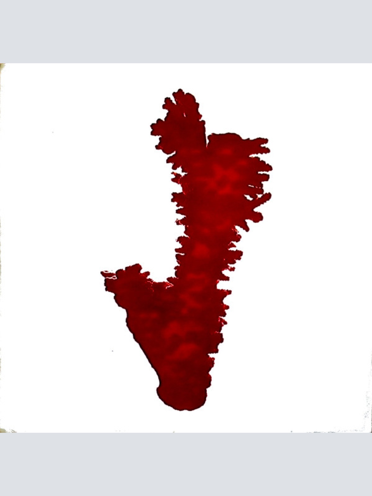 Vinyl / New Order - Substance