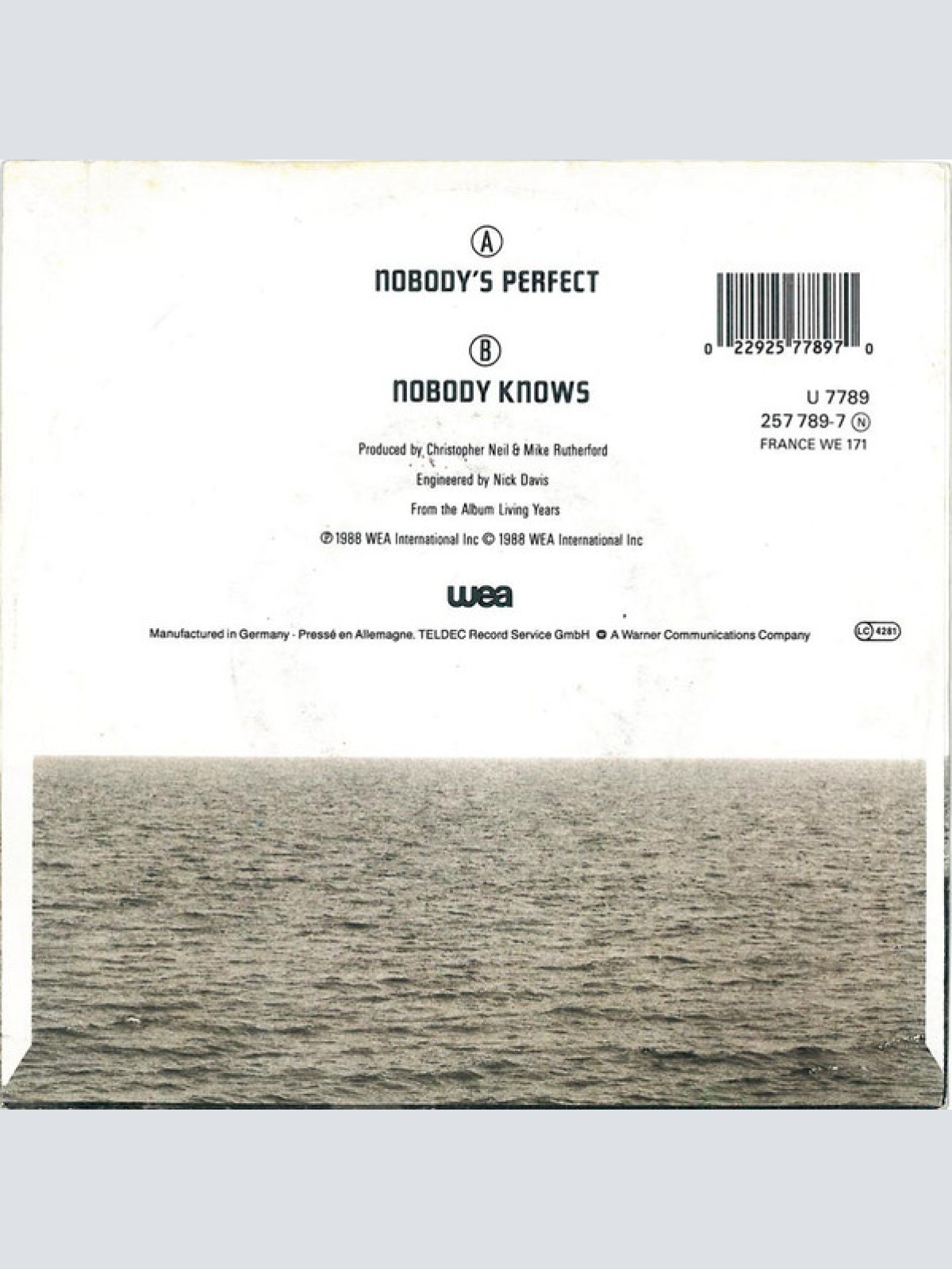 Vinyl / Mike + The Mechanics* - Nobody's Perfect