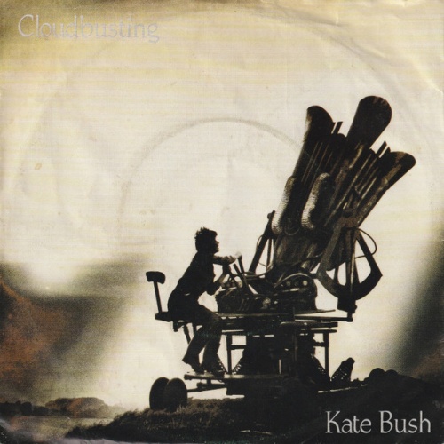 Vinyl / Kate Bush - Cloudbusting