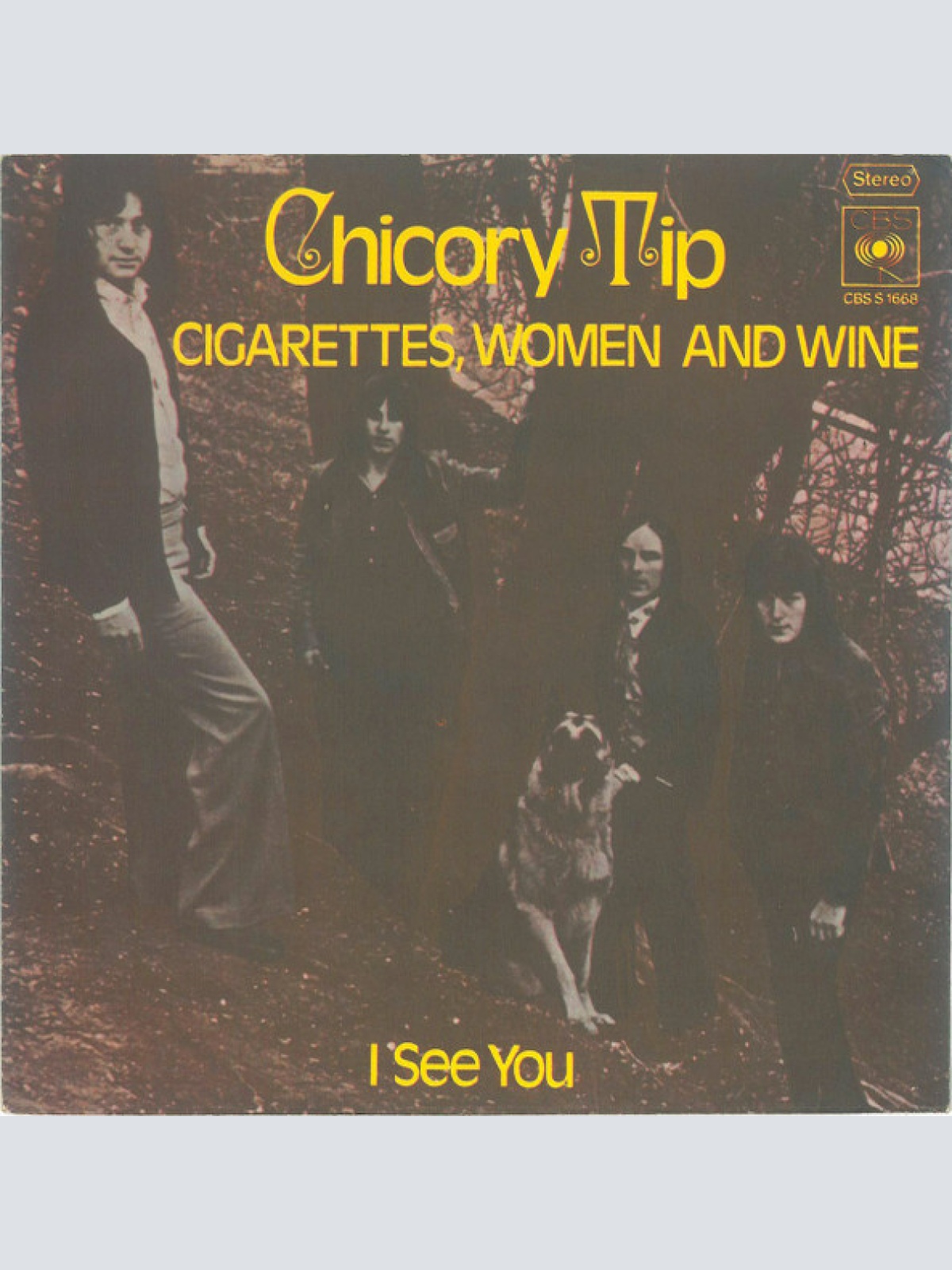 Vinyl / Chicory Tip - Cigarettes, Women And Wine