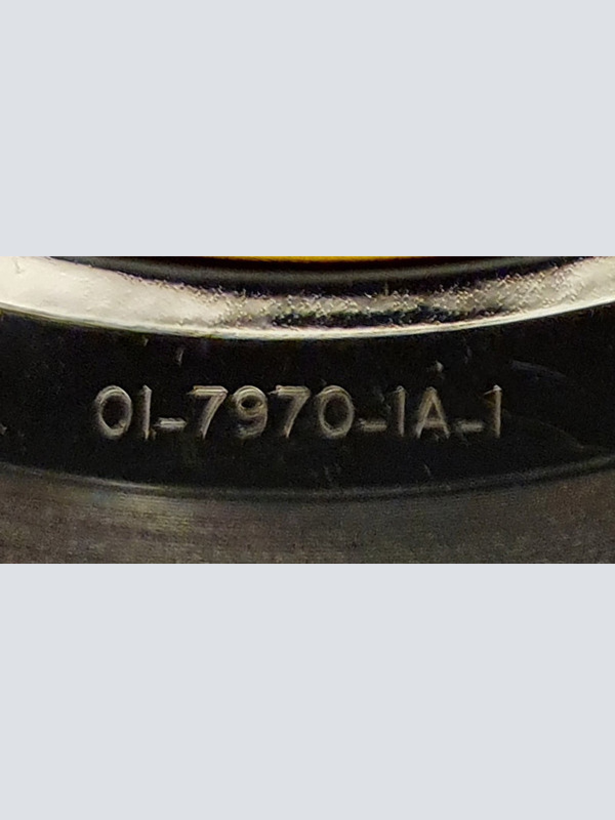 Vinyl / Bob Dylan - Man Gave Names To All The Animals