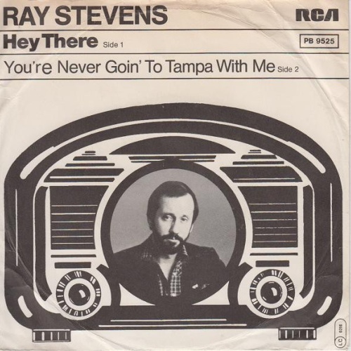 Vinyl / Ray Stevens - Hey There